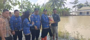 13 Ribu Hektare Sawah Terendam di Sergai, Wabup Adlin Tambunan Salurkan Bantuan Bibit kepada Petani