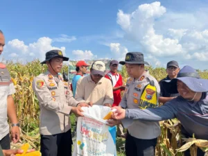 Kapolres Asahan Hadiri Panen Jagung Kuartal IV 2025, Dukung Swasembada Pangan di Rawang Panca Arga