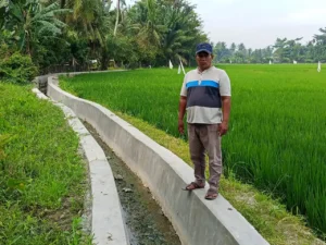 Program P3 TGAI Hadir Bermanfaat,Menumbuhkan Harapan Petani Mendukung Hasil Panen Yang lebih Baik